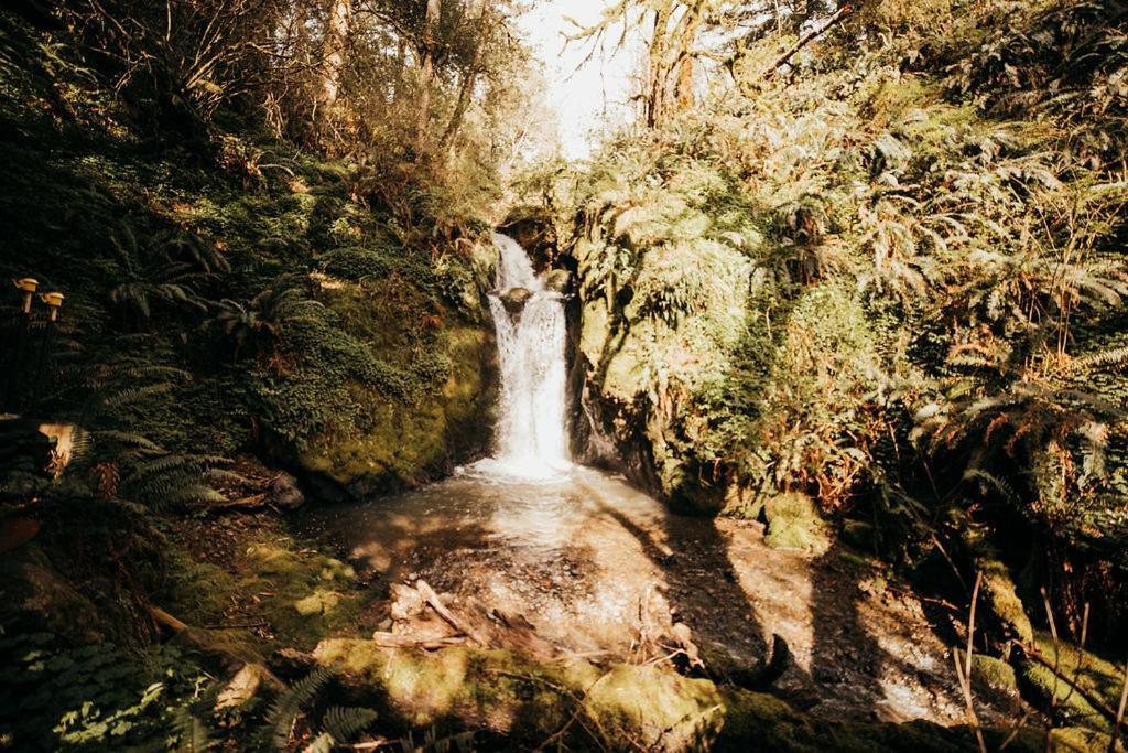 Taylor Creek Lodge ゴールドビーチ エクステリア 写真